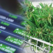 Are These The Marijuana Stocks You’ve Been Looking For? Here’s What You Should Know