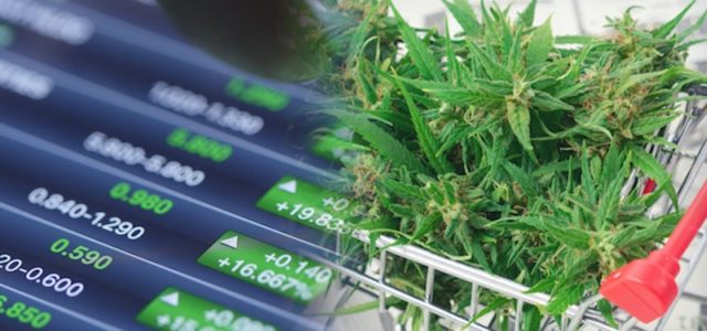 Are These The Marijuana Stocks You’ve Been Looking For? Here’s What You Should Know