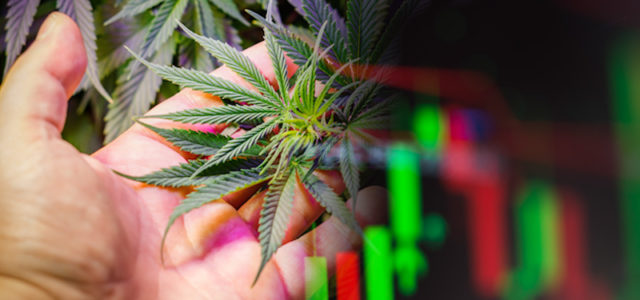 Best Canadian Marijuana Stocks To Buy? 2 For Your List In October 2021