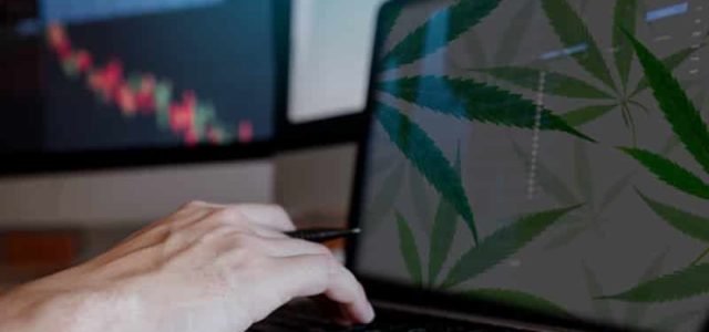 Best Marijuana ETFs To Buy In 2021? 3 To Watch For The Long Term Investor