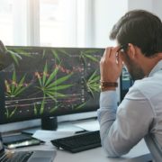 Best Marijuana Penny Stocks Right Now While The Cannabis Sector Is Down