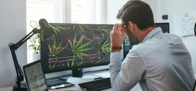 Best Marijuana Penny Stocks Right Now While The Cannabis Sector Is Down
