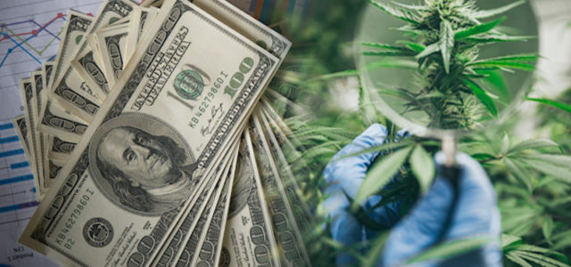 Best Marijuana Stocks For Long Term Investing? 3 Ancillary Cannabis Companies For Your List Right Now