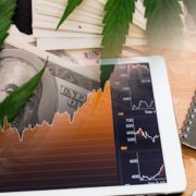 Best Marijuana Stocks To Buy In September? 3 Pot Stocks For Your List After a Long Weekend