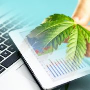 Canadian Marijuana Stocks In September 2021