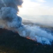 Disaster Relief for Cannabis Businesses Affected by Fires