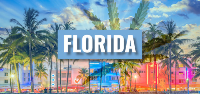 Florida May Legalize The Adult Use Of Cannabis In 2022