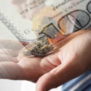 Hot Cannabis Stocks That Are Attracting More Investors In 2021
