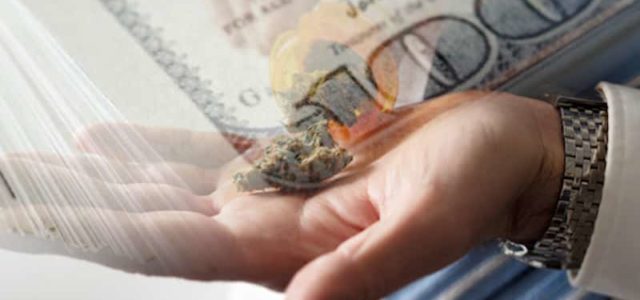 Hot Cannabis Stocks That Are Attracting More Investors In 2021