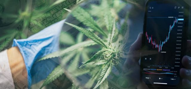 Looking For Top Marijuana Penny Stocks To Invest In Right Now? 2 For Your List With Possible Upside