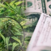 Making A List Of The Best Marijuana Stocks To Buy Right Now? 2 To Watch In Q4 2021