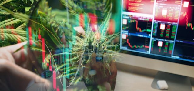 Making A Penny Stock List For Next Week? 3 Top Marijuana Penny Stocks To Watch Right Now