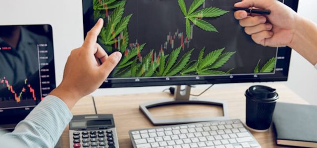 Making A Penny Stock List For September? 2 Marijuana Penny Stocks To Add To It Right Now