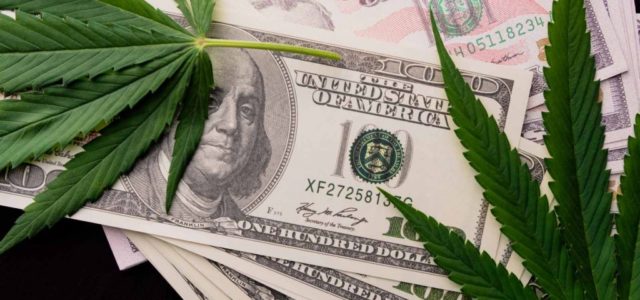 Marijuana Stocks Focusing on This Market Are Set to See Huge Gains