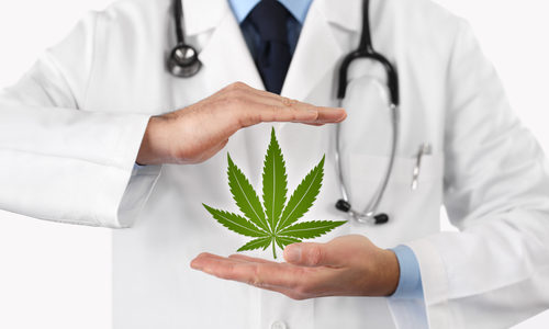 Medical cannabis unlikely to benefit most chronic pain patients, international researchers say