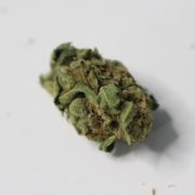 New York Appoints Cannabis Regulators