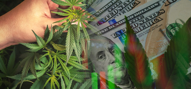 These Marijuana Could Be The Investment You Need To Make?