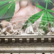 These Marijuana Stocks May Soon Start To Recover In 2021