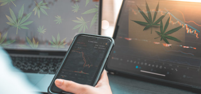 Top Canadian Cannabis Stocks In September? 2 To Watch As Volatility Increases