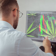 Top Canadian Cannabis Stocks In September 2021