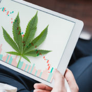 Top Marijuana Stocks In September 2021? 2 Companies To Watch This Month