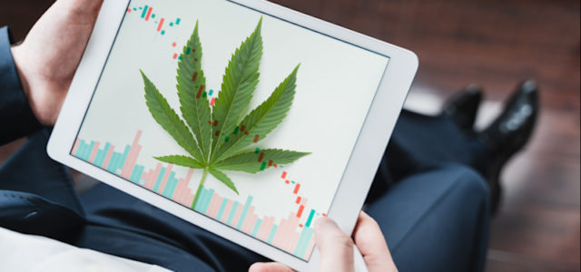 Top Marijuana Stocks In September 2021? 2 Companies To Watch This Month