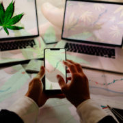 Top Marijuana Stocks To Buy In September? 2 To Watch Right Now