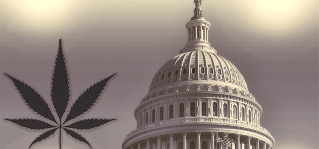 Top Political Figures Are Pushing The U.S. Federal Government To Deschedule Cannabis