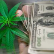 US Cannabis Stocks For Your Watchlist Right Now