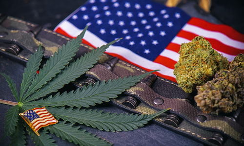 VA sending mixed messages for vets about cannabis use to treat PTSD