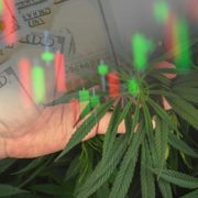 2 Interesting Cannabis Stocks To Watch Right Now In 2021