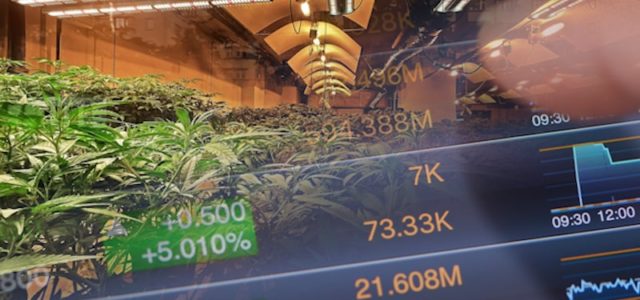 2 Marijuana Stocks To Focus On For Trading In Mid October