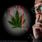 2 Marijuana Stocks To Watch At The End Of October