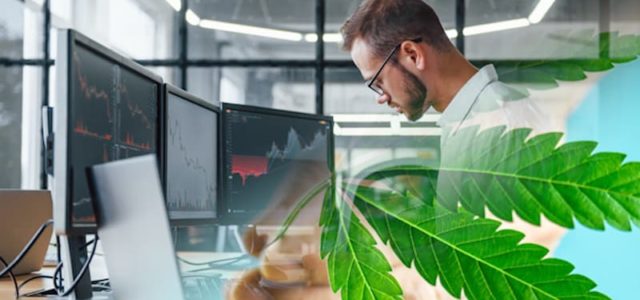 2 Top Marijuana Stocks To Watch Before The End Of October