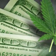 A Member Of The IRS Is Giving Tax Advice To Marijuana Businesses Who Need It