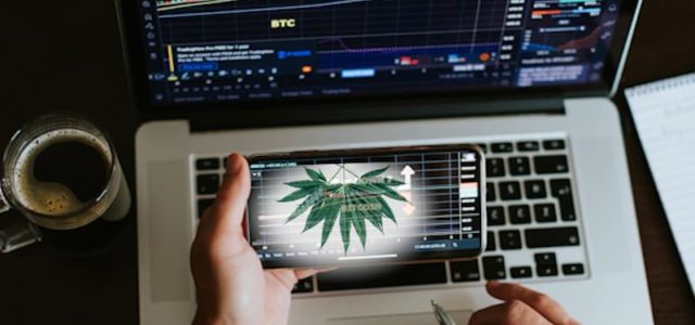 Best Canadian Marijuana Penny Stocks To Buy Now? 2 For Your List Before Next Week
