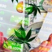 Best Canadian Marijuana Stocks To Watch In Q4 2021