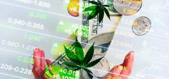 Best Canadian Marijuana Stocks To Watch In Q4 2021