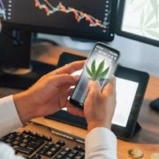 Best Cannabis Stocks Right Now For Q4 2021? 2 Investors Are Watching In October