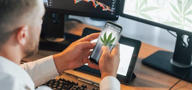 Best Cannabis Stocks Right Now For Q4 2021? 2 Investors Are Watching In October