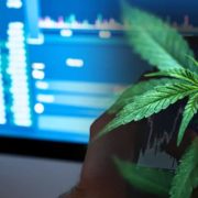 Best Cannabis Stocks To Buy This Week? 2 With Forecasted Upside From Analysts