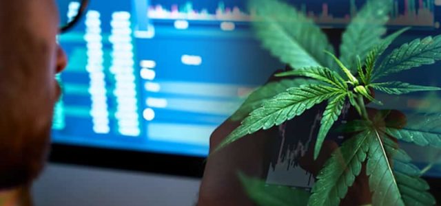 Best Cannabis Stocks To Buy This Week? 2 With Forecasted Upside From Analysts