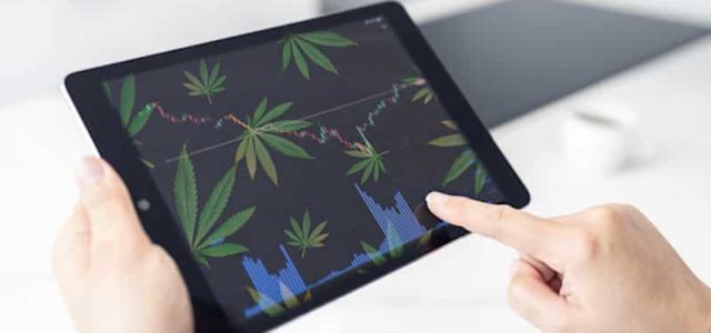 Best Marijuana Penny Stocks To Buy Right Now? 4 For Your List In October