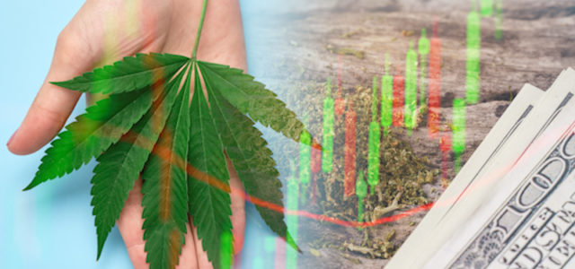 Best Marijuana Stocks To Buy Right Now? 2 That Investors Have On The Watchlist