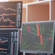 Best US Marijuana Stocks To Buy Right Now? 3 Top Cannabis Stocks With Triple Digit Gains Forecast