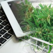 Best US Marijuana Stocks To Buy This Week? 2 To Watch On The Nasdaq Right Now