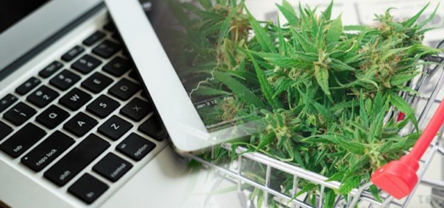 Best US Marijuana Stocks To Buy This Week? 2 To Watch On The Nasdaq Right Now