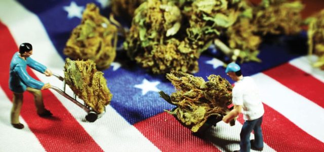 Federal Regulators Want Congress To Pass Cannabis Banking Now