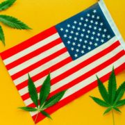 House Panel Advances New Bill to Legalize Recreational Cannabis