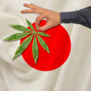Japan Stays Tough on Cannabis as Other Nations Loosen Up